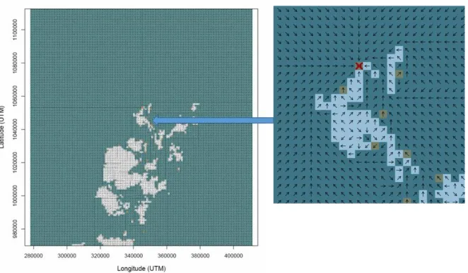 Figure 6.   Example of a shortest-sea-routes raster.  The arrows show direction vectors routing the seals to a target (here specified by the red cross)