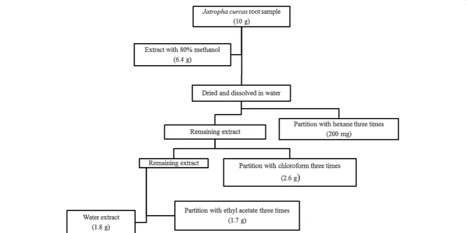 Figure 2 Cytotoxic activity of methanolic extract of different parts ofrepresented positive and negative control respectively