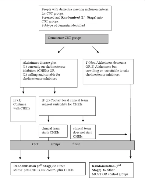 Figure 1 Flow diagram of the trial; Trial and randomisation stages.