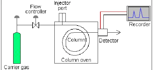 Figure 13:  Schematic Diagram of Gas Chromatography                                                                     