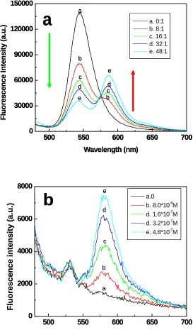 Figure 3.2 a) Emission spectra of rhodamine-labeled peptide-coated quantum dots at increasing the rhodamine to peptide coated quantum dots ratio: (a)0:1 (black),(b) 8:1 (red), (c)16:1 (green), (d)32:1 (dark blue), e)50:1 (light blue)