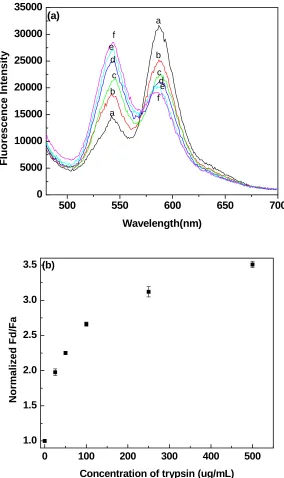 Figure 3.4 a) Emission spectra of the quantum dot FRET-based probes at increasing trypsin concentration: (a) 0μg/mL, (b) 25μg/mL, (c) 50μg/mL, (d) 100μg/mL, (e) 250μg/mL, (f) 500μg/mL