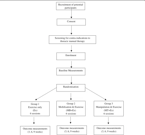 Fig. 1 Flow of participants through the trial. Ex exercise, MB mobilisation, MT manipulation