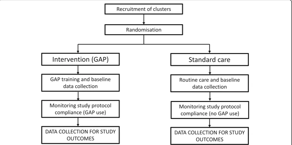 Fig. 1 Diagram of expected procedures in participating clusters in the intervention and standard care arms