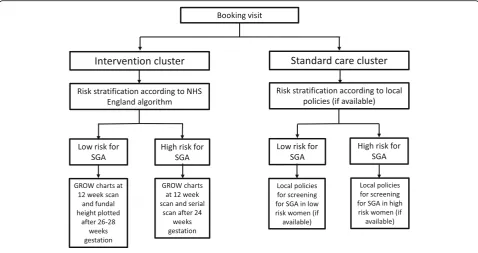 Fig. 3 Diagram of individual management within participating clusters