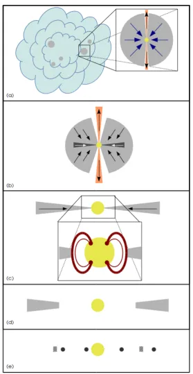 Figure 1.1: Schematic representation of star and planetary system formation, adaptedfrom Shu et al