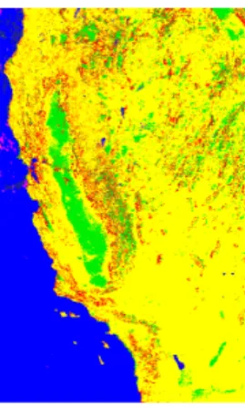 Figure 7.10. Visualization of the clustering result for the SEQUIOA 2000 raster data