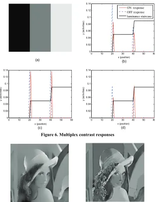Figure 6. Multiplex contrast responses 