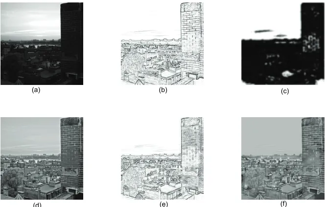 Figure 8. Lightness perception of a real-world image. (a) stimulus; (b) ON contour; (c) interaction zone; (d) retinal adapta- tion; (e) OFF contour; (f) perception result  