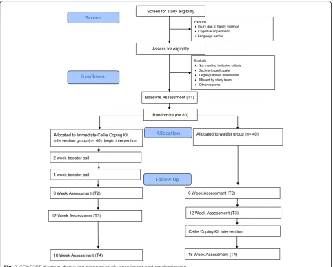 Fig. 2 CONSORT diagram displaying planned study enrollment and randomization