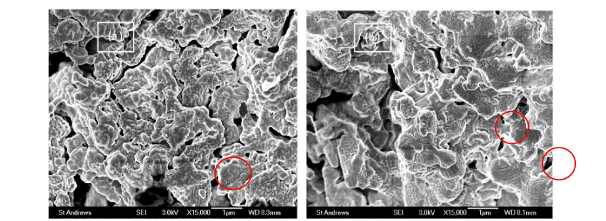 Figure 9. SEM images of the cross-sectional view of the 0.5% Pd and GDC co-impregnated LSCM cathode after durability test with (a) the inner side area, i.e