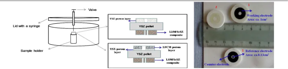 Figure. 1 Schematic representation of a home-made setup for wet vacuum impregnation and sample SOECs prepared by vacuum impregnation and an image of the freshly made GDC impregnated LSCM cathode cell (No