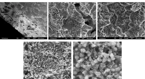 Figure. 2 Cross-sectional view (a, b and c) and surface view (d, e) of a freshly made GDC impregnated LSCM cathode applied in high temperature SOEC (a: cross-section of the whole cathode/electrolyte interface; b: the inner cathode, i.e the GDC impregnated 