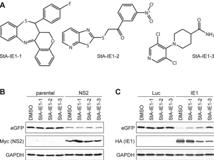 Fig. 9. Validation of repurchased StA-IE1 hit compounds in the A549/pr(ISRE).GFP reporter cell-lines