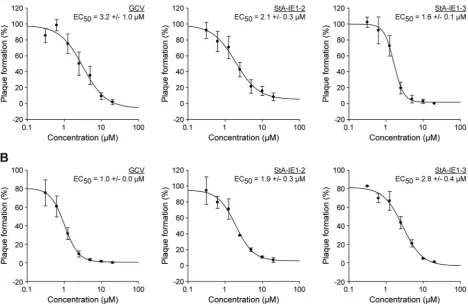 Fig. 11. StA-IE1-2 and StA-IE1-3 inhibit CMV plaque formation in the presence and absence of STAT2