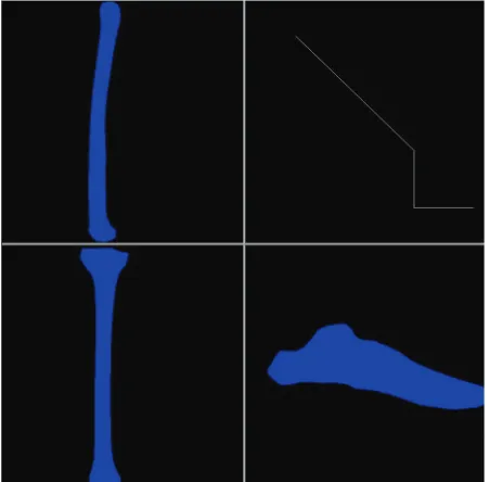 Figure 5. Visualization of three FE, and one MBD process at time 5.0.  