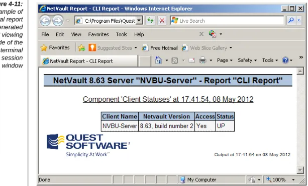 Figure 4-11: An example of external report file generated for viewing outside of the terminal session window