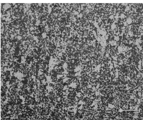 Figure 1 show the microstructures developed from the intercritical treatment performed at 7400, 7600, and 7800C