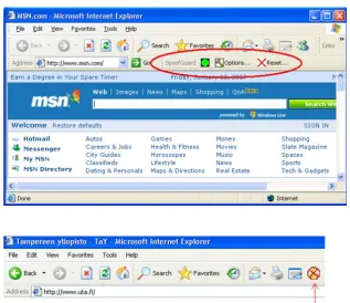 Fig. 3 SpoofGuard toolbar
