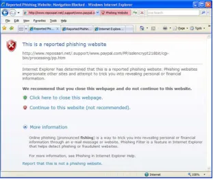 Fig. 5 A spooﬁng site is