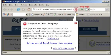Figure 2. Netcraft anti-phishing toolbar 