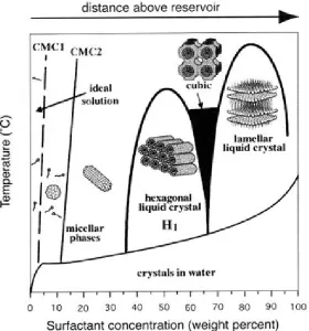 Figure 1.1  The phase diagram of cationic surfactant CTAB in aqueous solution [14]. 