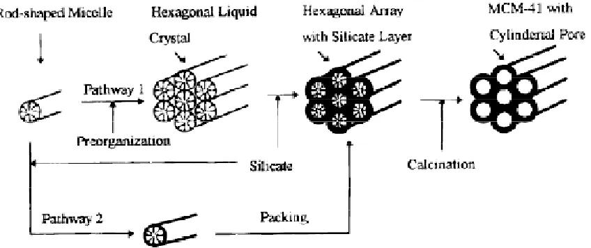 Figure 1.2 Schematic model of liquid crystal templating mechanism via two possible pathways [7]