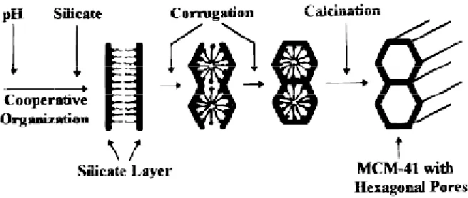 Figure 1.3 Schematic model for transformation mechanism from lamellar to hexagonal phase [18]