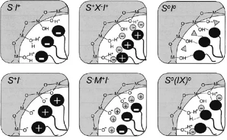 Figure 1.4 Schematic representation of the different types of silica-surfactant interfaces [2]
