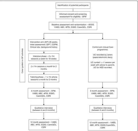 Fig. 2 Summary flow chart. ABC Aberrant Behaviour Checklist, ADOS Autism Diagnostic Observation Schedule, APSI Autism Parenting StressIndex, ASD autism spectrum disorder, CarerQOL carer quality of life, COPM Canadian Occupational Performance Measure, CSRI Client ServiceReceipt Inventory, EQ5D EuroQol 5D, SIT sensory integration therapy, SIPT Sensory Integration and Praxis Test, SP sensory processing, SPM SensoryProcessing Measure, UC usual care, VABS Vineland Adaptive Behaviour Scale