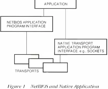 Figure l transmission control protocol/internet protocol transports. (XNS), (TCP/IP). ( Ne tB H I I ) 