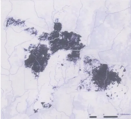 Figure 2. Elephant dung, Omo Forest Reserve. 