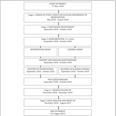 Fig. 1 Study flow chart