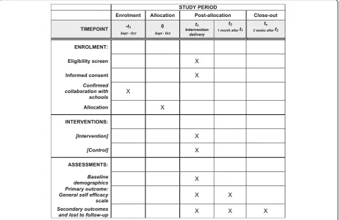 Fig. 2 Spirit figure of study timeline
