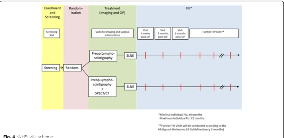 Fig. 4 SNEPS visit scheme