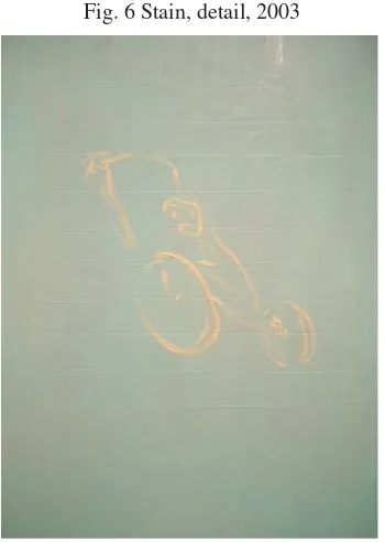 Fig. 5 Stain, 2003