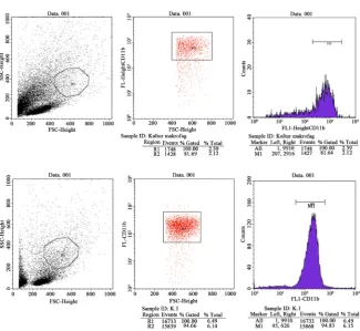 Figure 1. The identification of macrophage cells with flowsitometri CD 11B marker. 