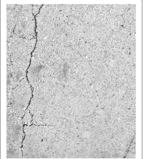 Fig. 4 Result of applying the logarithmic transform to Fig. 3. Thisimage shows imperceptible dark details of the original image toappear more clearly