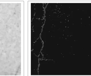 Fig. 6 Result of applying the Canny edge detector algorithm to Fig. 5.The crack is now clearly identified