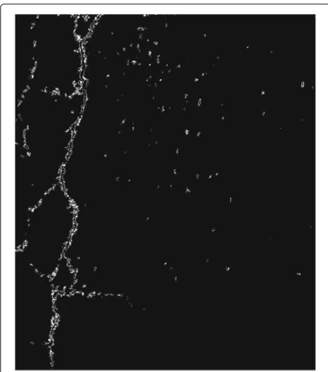 Fig. 7 Result of applying the morphological closing operator to Fig. 6.The crack was clearly defined and, in addition, now is also highlighted