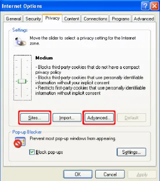 Figure 6 The “Privacy” Tab in Internet Explorer 7 