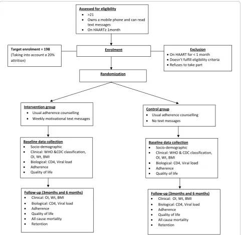 Figure 1 Consolidated Standards of Reporting Trials-CONSORT diagram of study design.