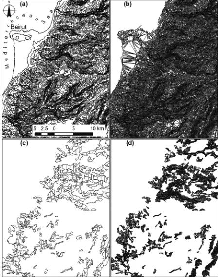 Figure 3. (a) The number of topographic faces with relation to patch area; (b) Relative number of Topographic Faces (RTF) after area normalization