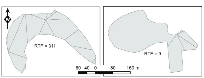 Figure 4. Two different forest patches showing minimum and maximum RTF of 1965 map. 