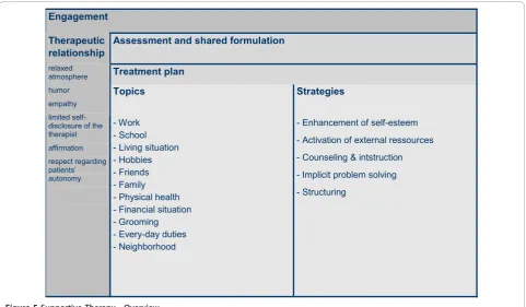 Figure 5 Supportive Therapy - Overview.