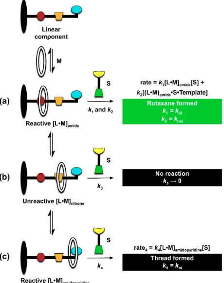Figure 9. Model illustrating the association between macrocycle M and linear component L, affording formation of three different pseudorotaxane complexes, only one of which results in the formation of the desired rotaxane
