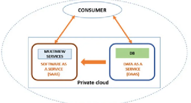 Figure 5.  MVSOA into SaaS and DaaS 