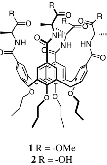 Figure 1.6 Peptidocalixarene used to bind amino acids in CDCl3 and D2O