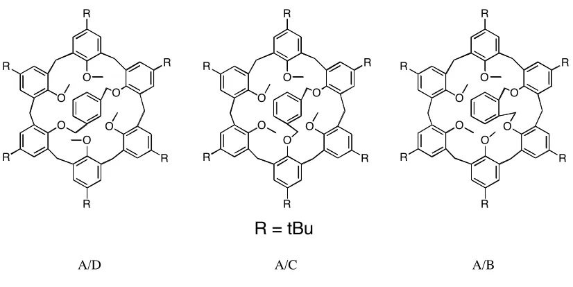 Figure 1.12 Bridged Calixarene regioisomers