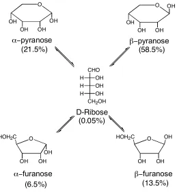 Figure 1.13 Ribose in Solution